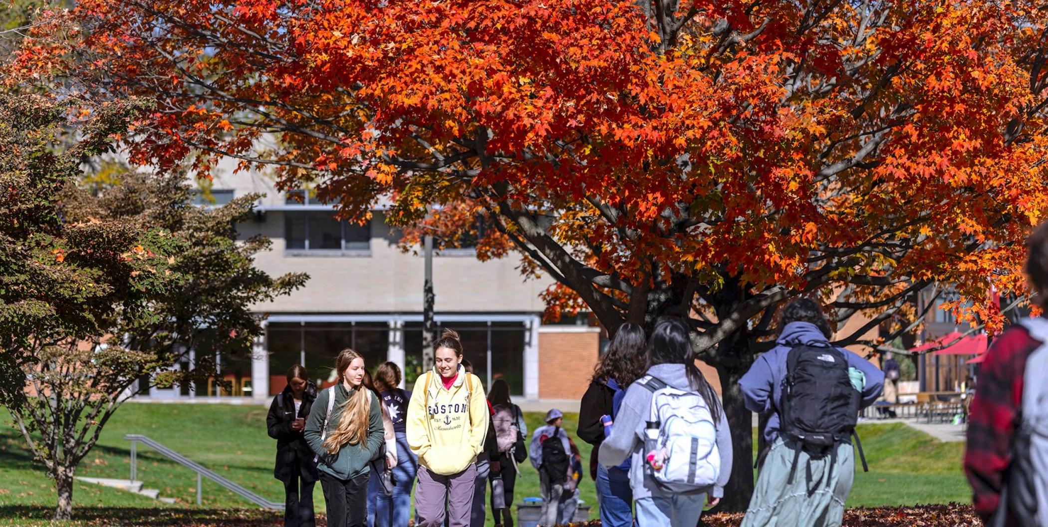 students walking under trees with orange leaves in the fall on campus