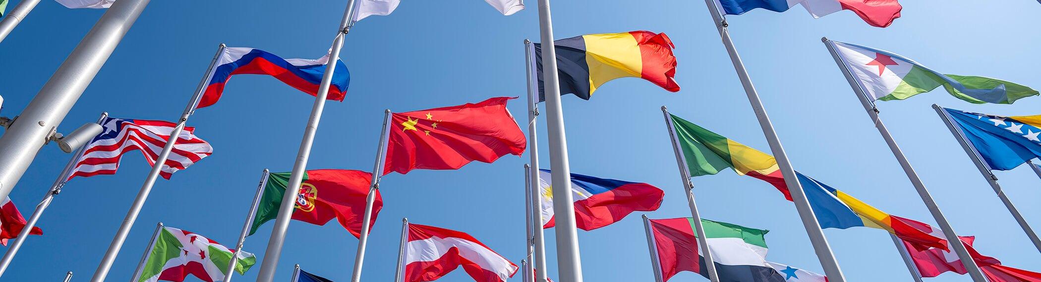 Photo of international flags waving in the sky. 