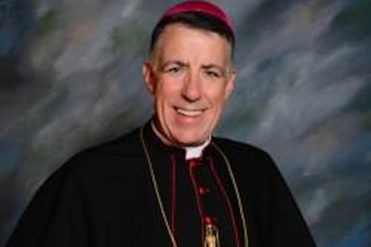 bishop checchio headhshot